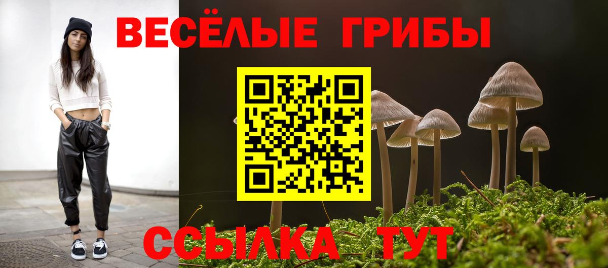 Псилоцибиновые грибы мицелий Уварово